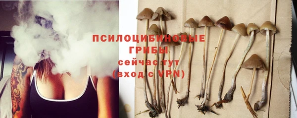 гашик Бронницы