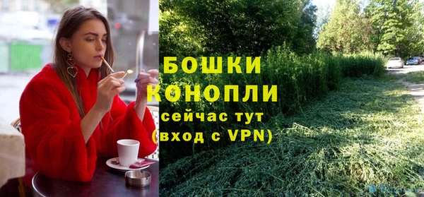 гашик Бронницы