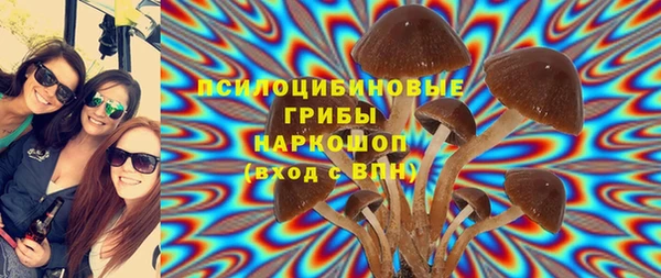 гашик Бронницы