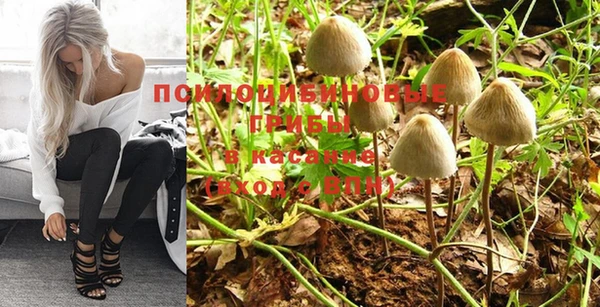 гашик Бронницы