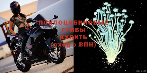 гашик Бронницы