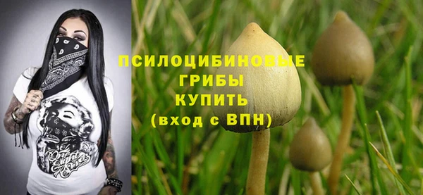 гашик Бронницы