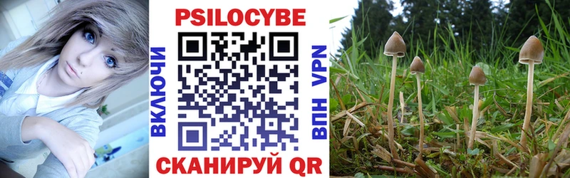 Галлюциногенные грибы MAGIC MUSHROOMS  Купить  Белый 